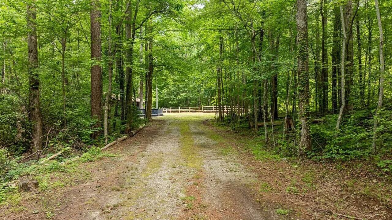 Photo of Others in Sautee Nacoochee