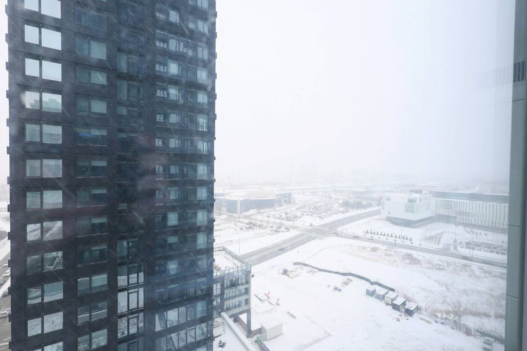 Photo of Others in Downtown Mississauga