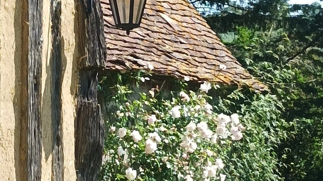 Photo of Outdoor in Mittois