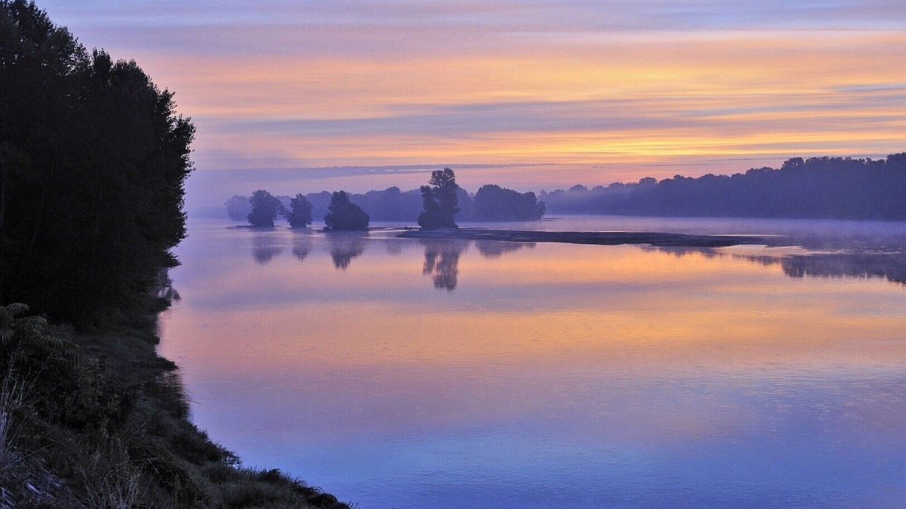 Photo of Others in La Chapelle-sur-Loire