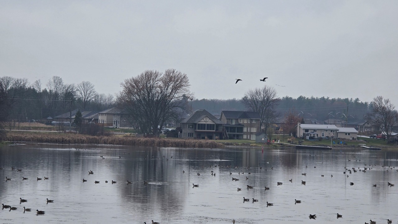 Photo of Others in Greater Napanee