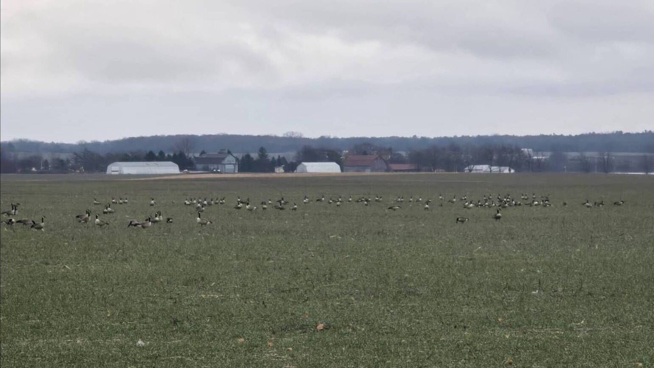 Photo of Others in Greater Napanee