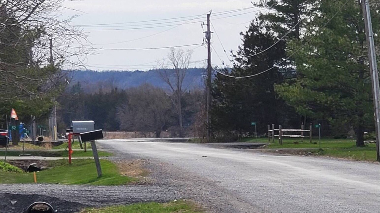 Photo of Others in Greater Napanee