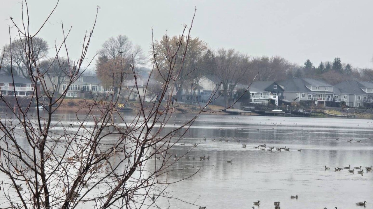 Photo of Others in Greater Napanee
