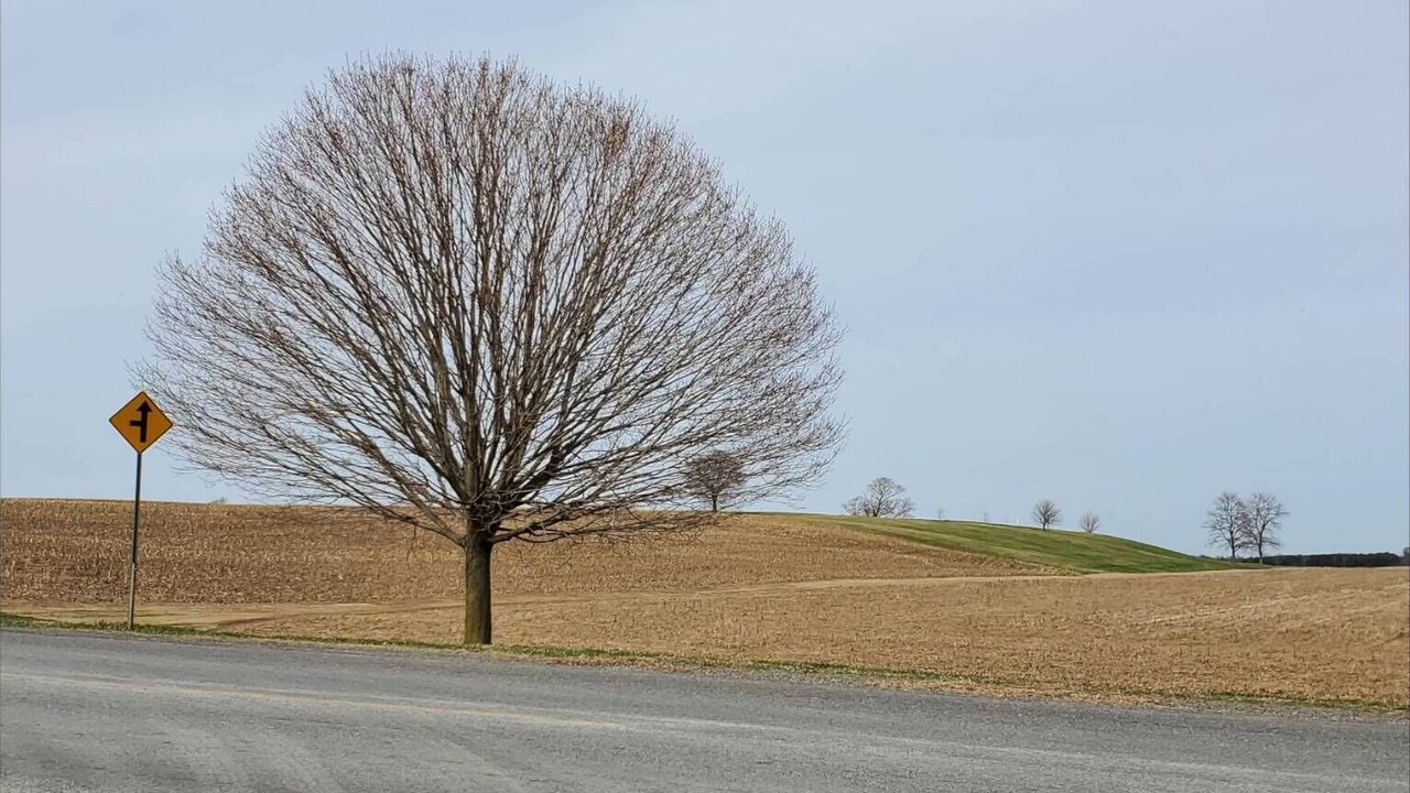 Photo of Others in Greater Napanee