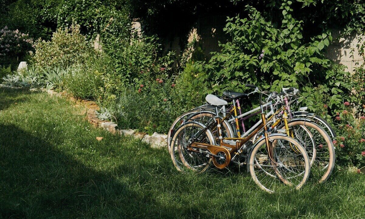 Photo of Outdoor in Olivet