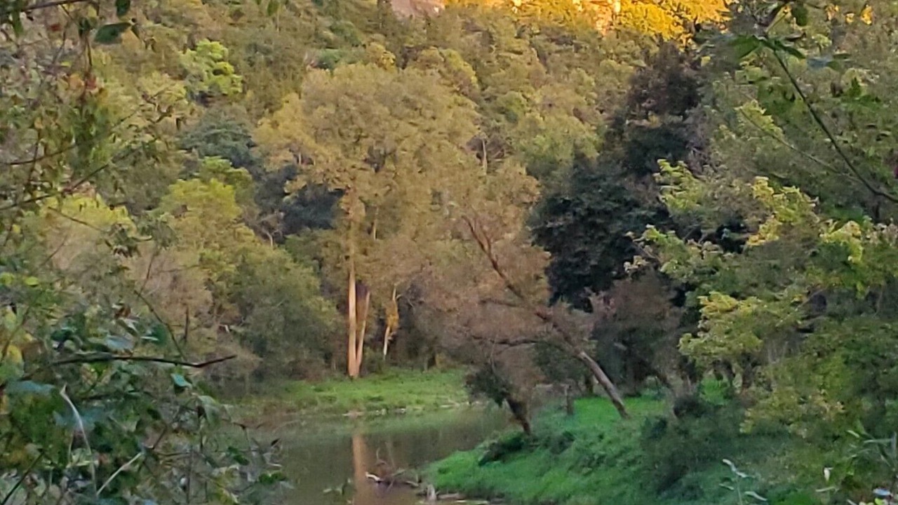 Photo of Others in Whalan