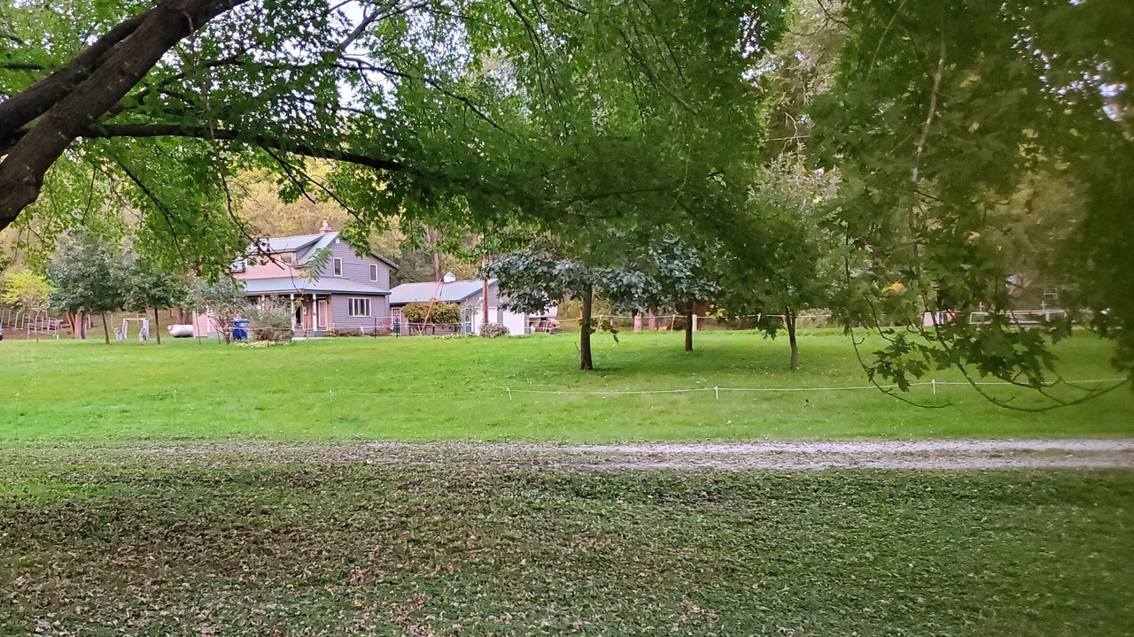 Photo of Others in Whalan