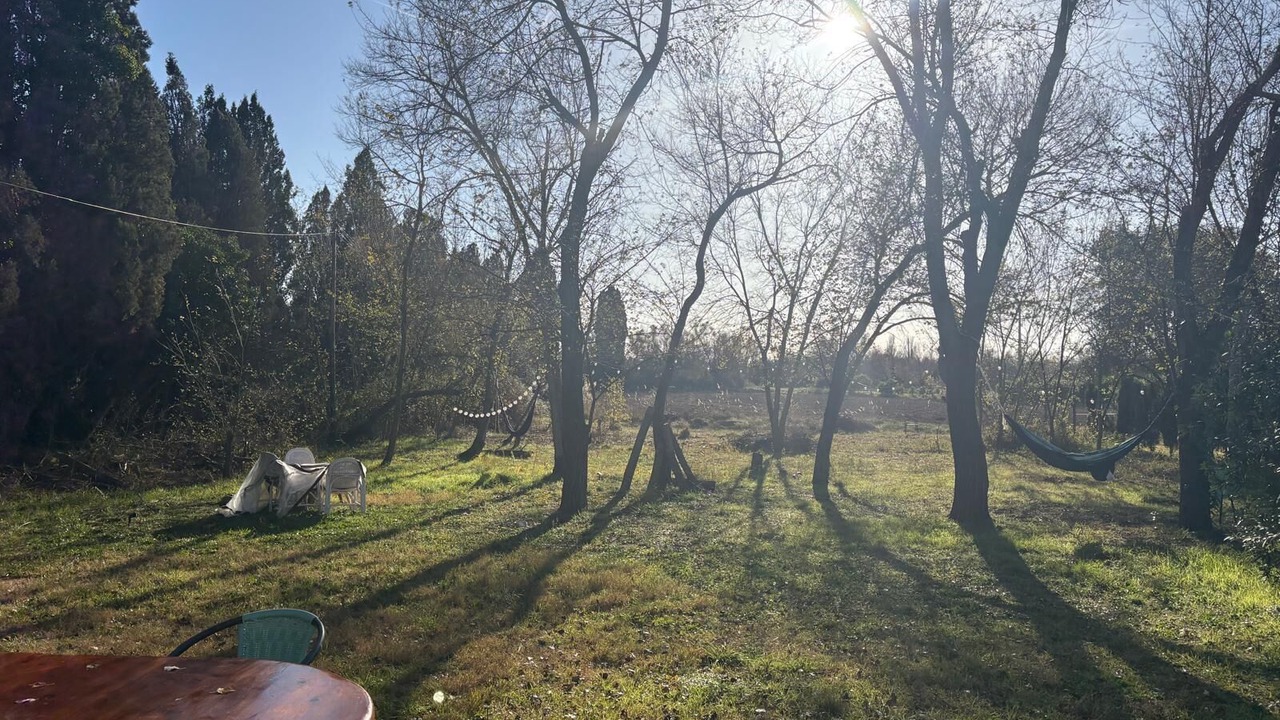 Photo of Outdoor in L'Escala