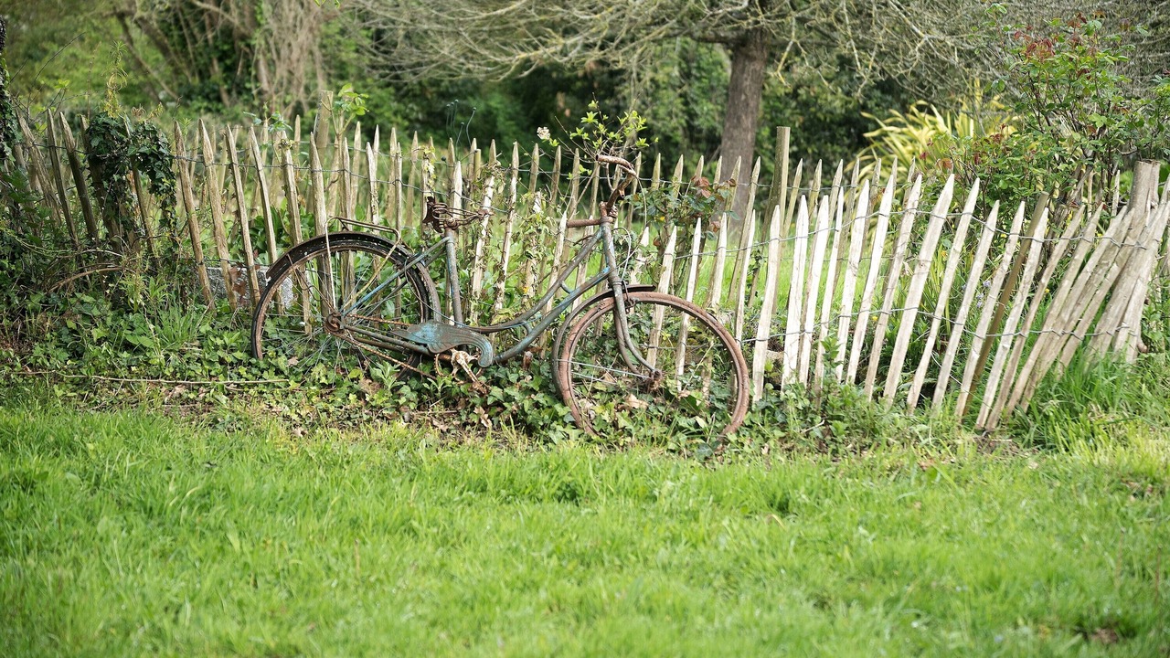 Photo of Others in Roz-sur-Couesnon