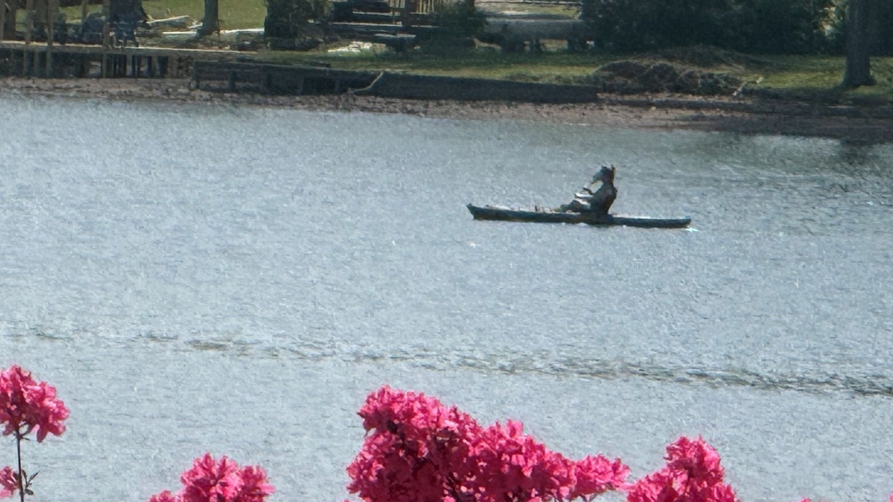 Photo of Others in Jonesboro