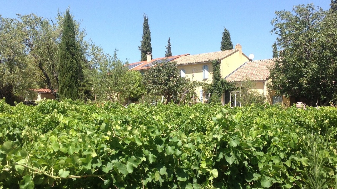 Photo of Outdoor in Serignan-du-Comtat