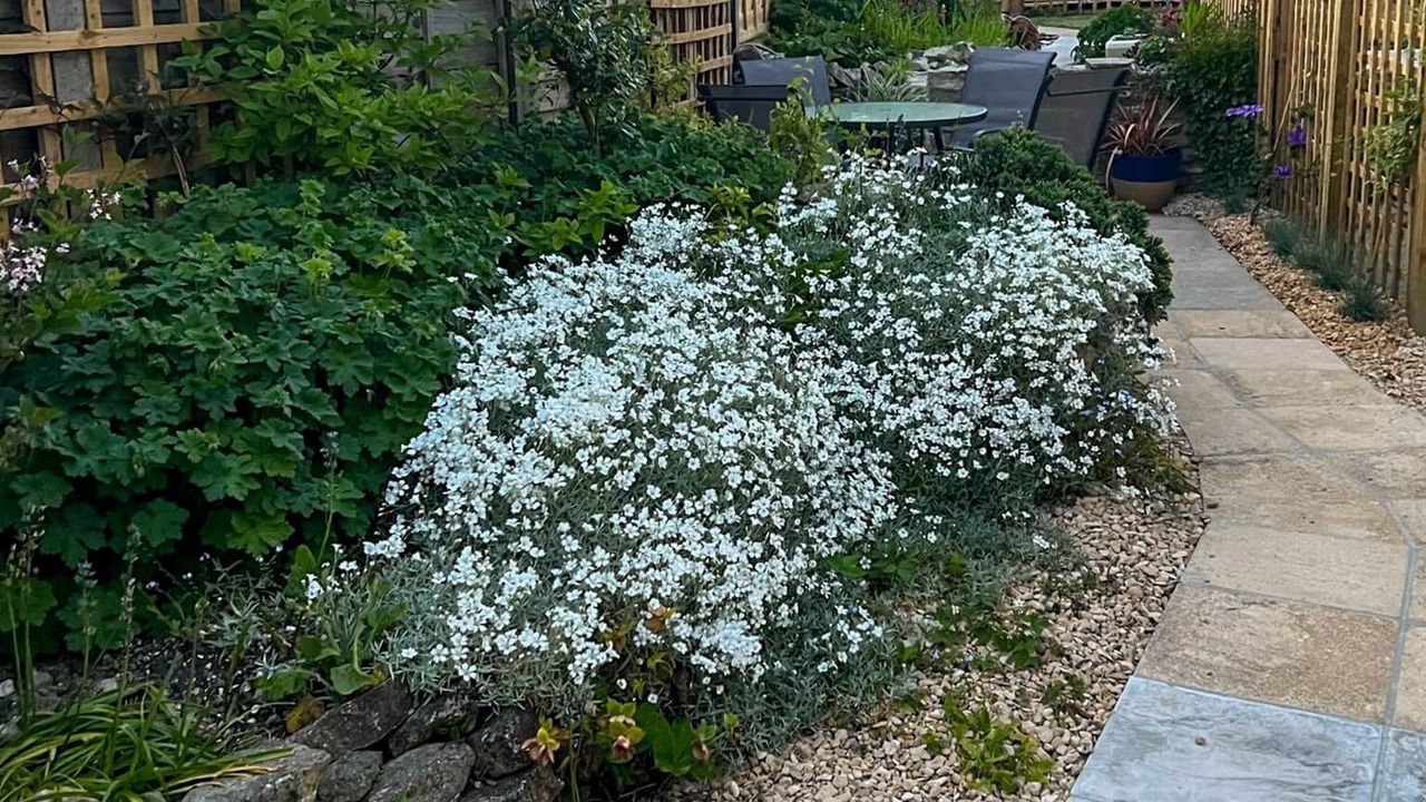 Photo of Outdoor in Mere