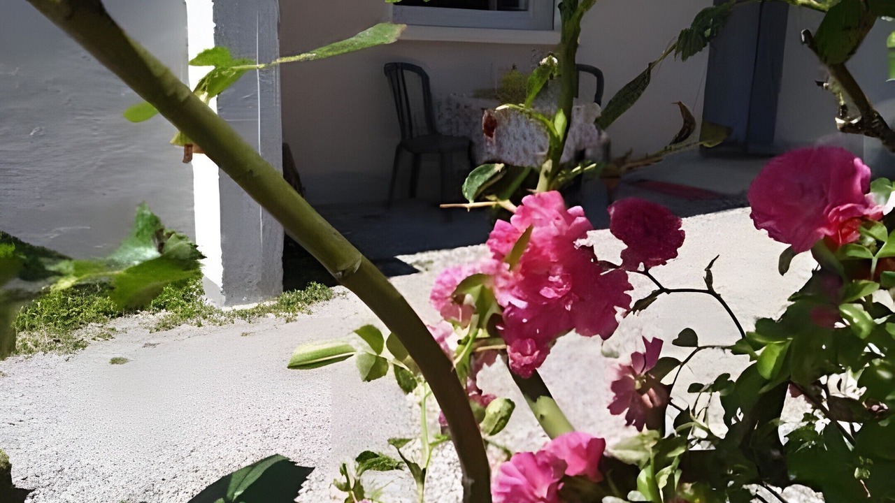 Photo of Outdoor in Onet-le-Chateau