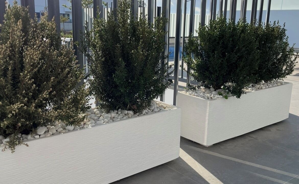 Photo of Outdoor in Dolores