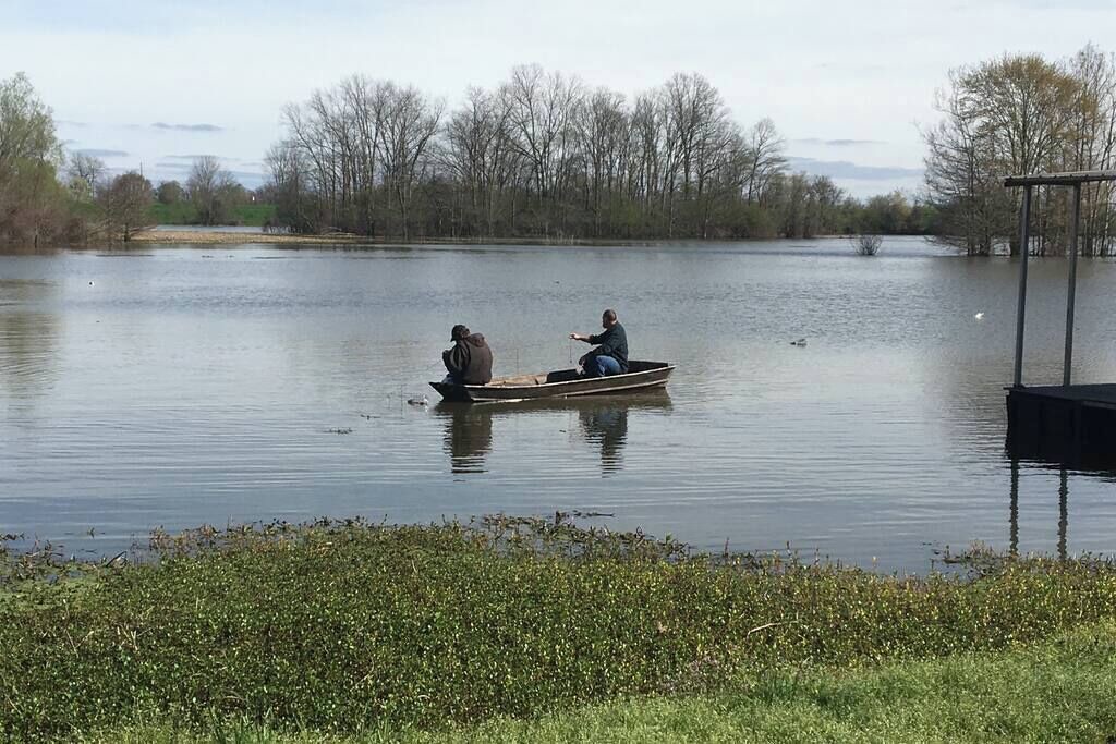 Photo of Others in Desha