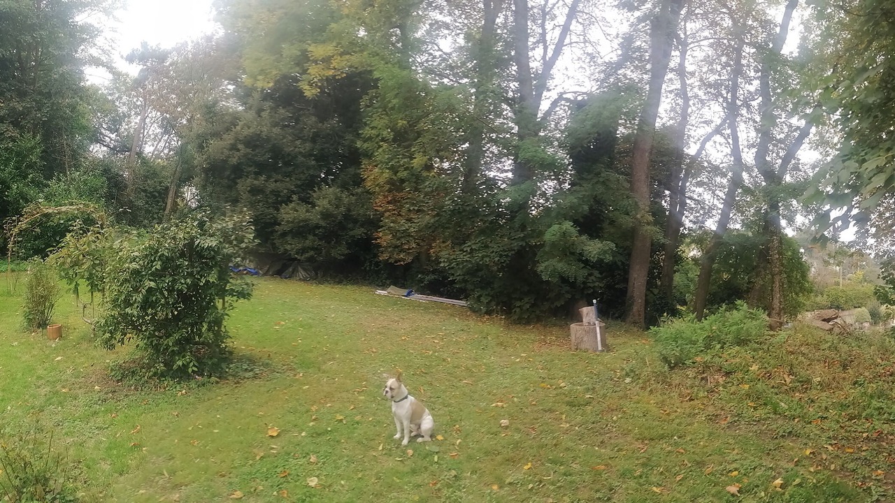 Photo of Outdoor in St.-Martin-des-Champs