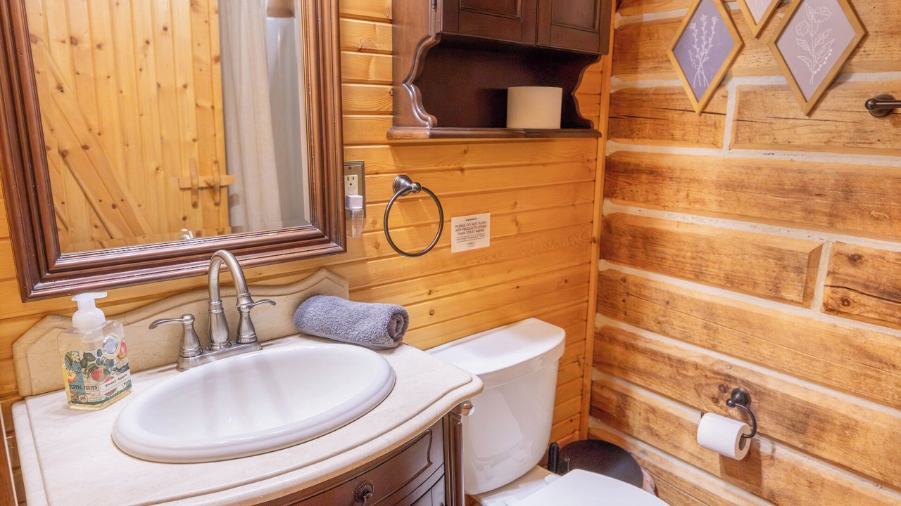 Photo of Bathroom in Birdseye