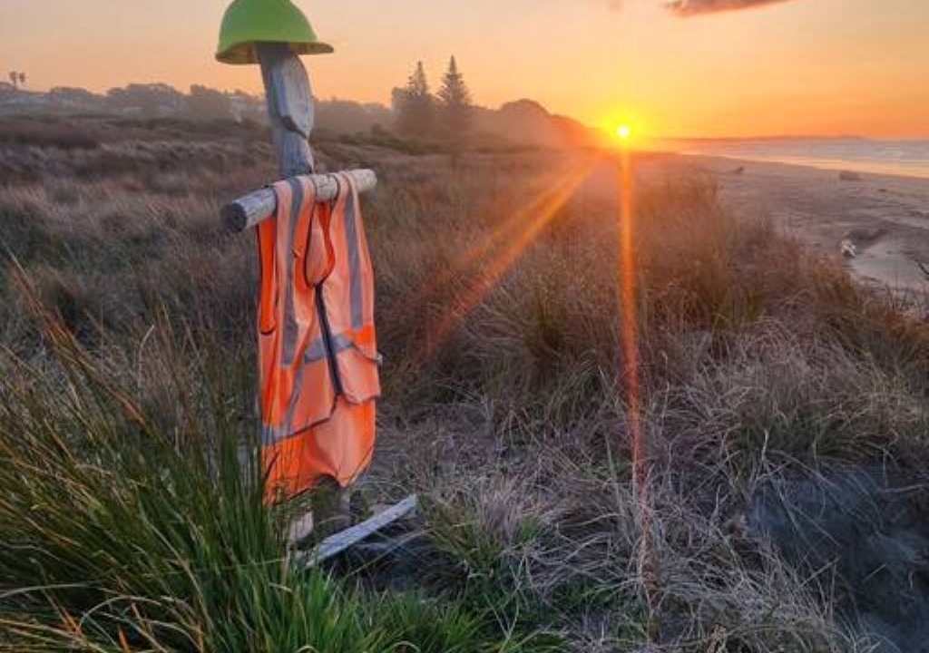 Photo of Others in Waiotahi