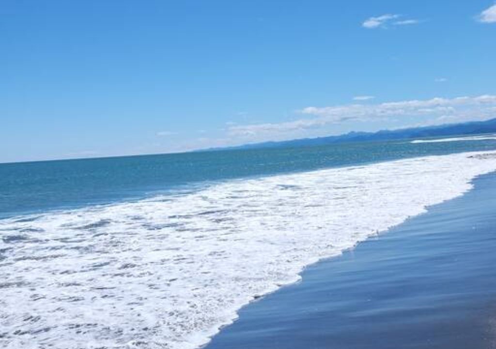 Photo of Others in Waiotahi