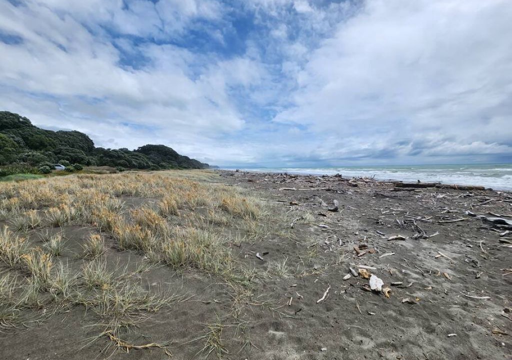 Photo of Others in Waiotahi