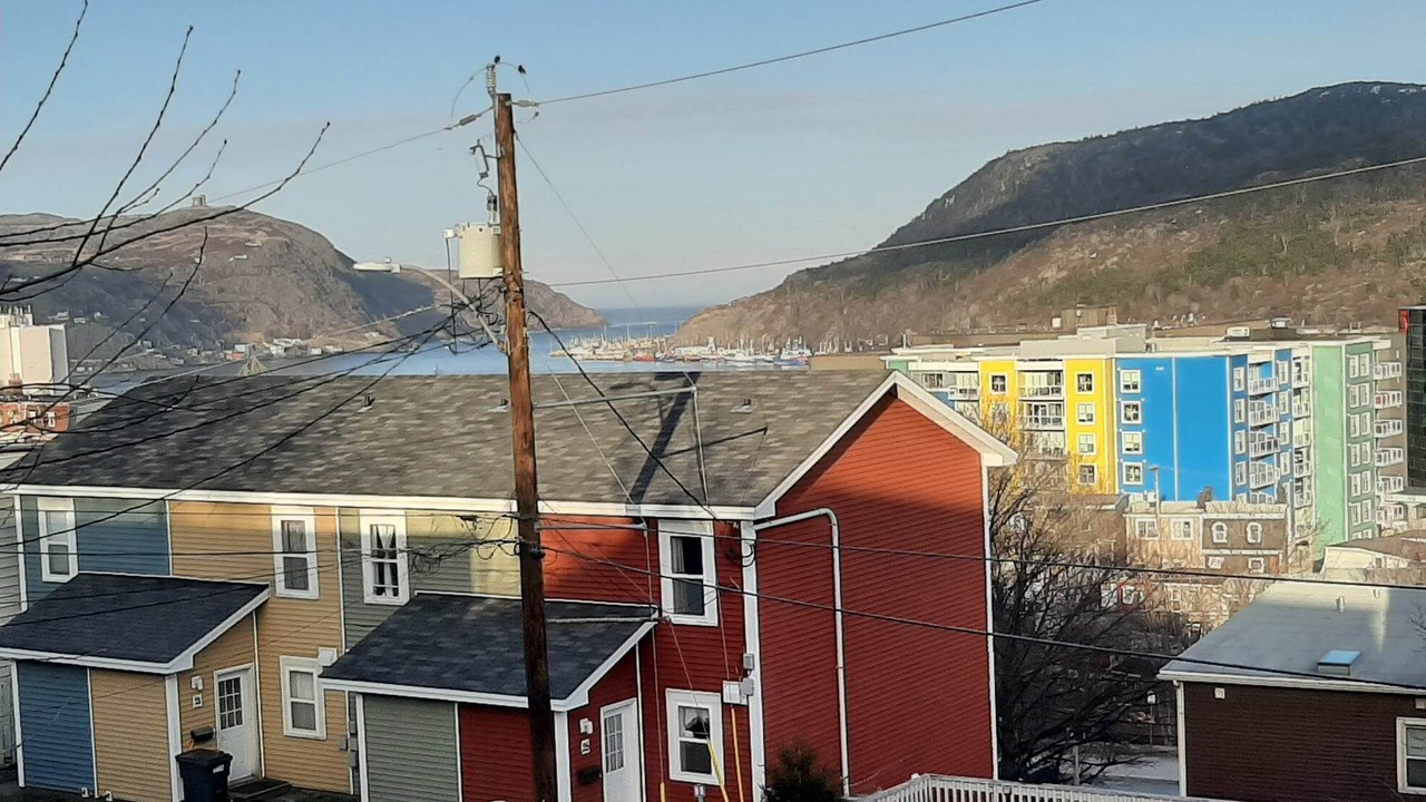 Photo of Outdoor in Downtown St. John's