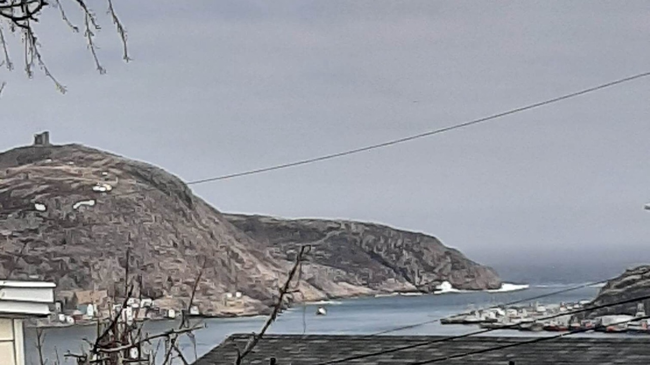 Photo of Others in Downtown St. John's