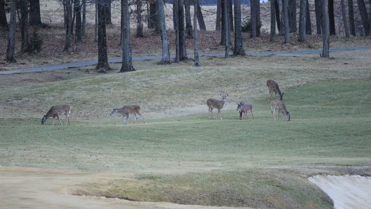 Photo of Others in Marion