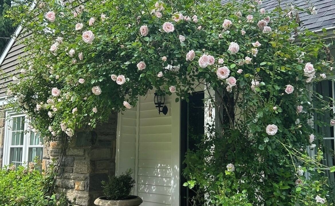 Photo of Outdoor in Newtown Square