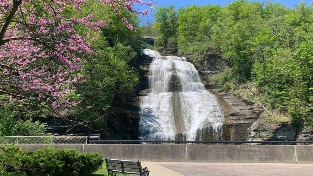 Photo of Others in Montour Falls