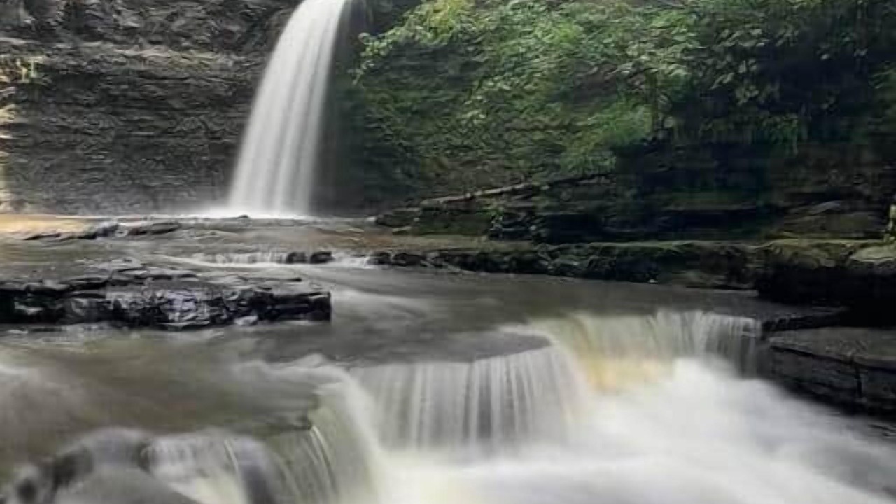 Photo of Others in Montour Falls