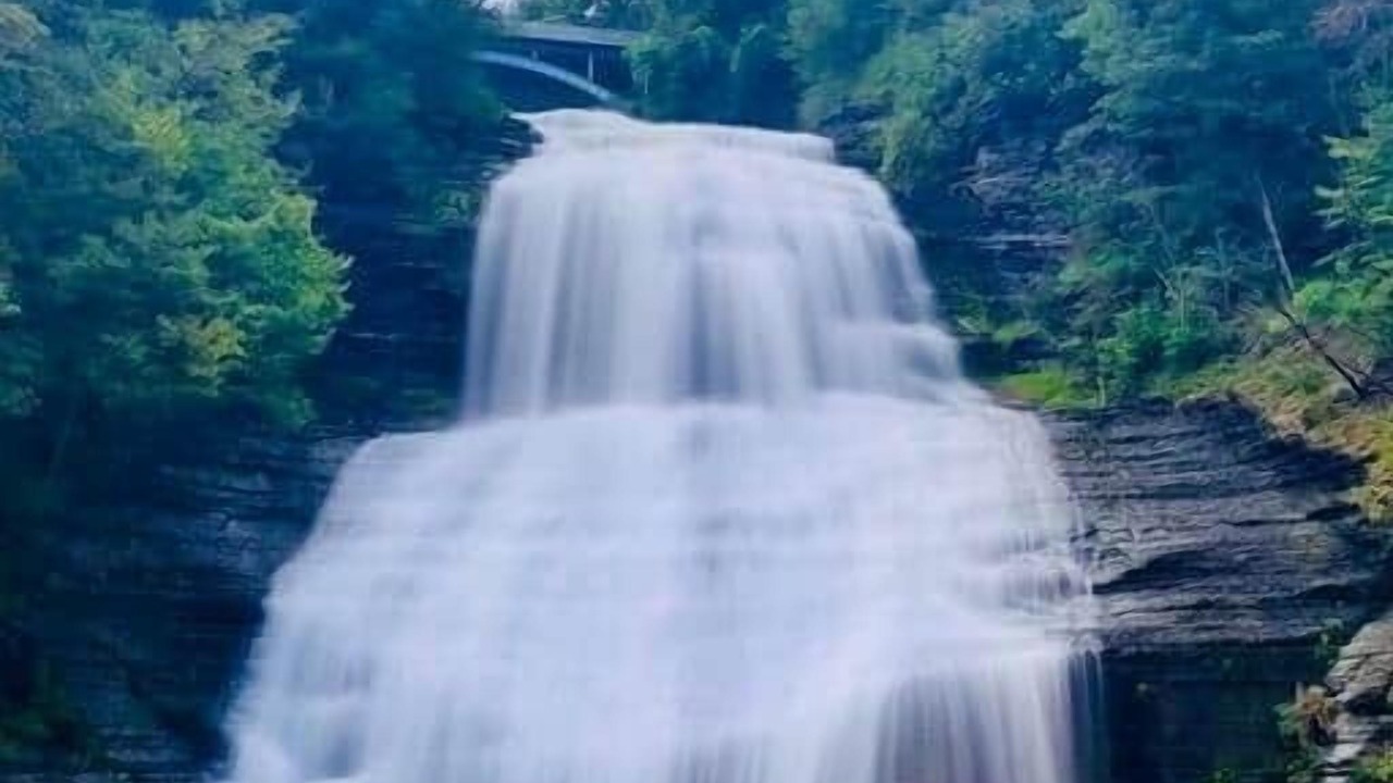 Photo of Others in Montour Falls