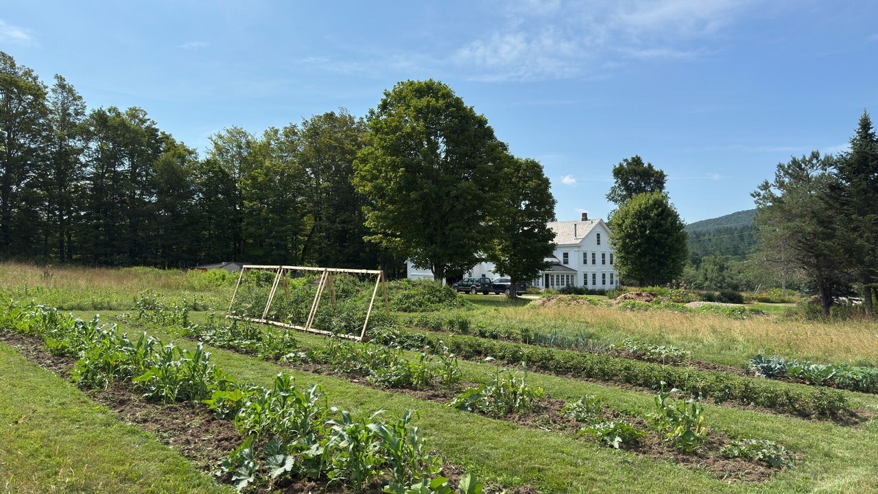 Photo of Outdoor in Belmont