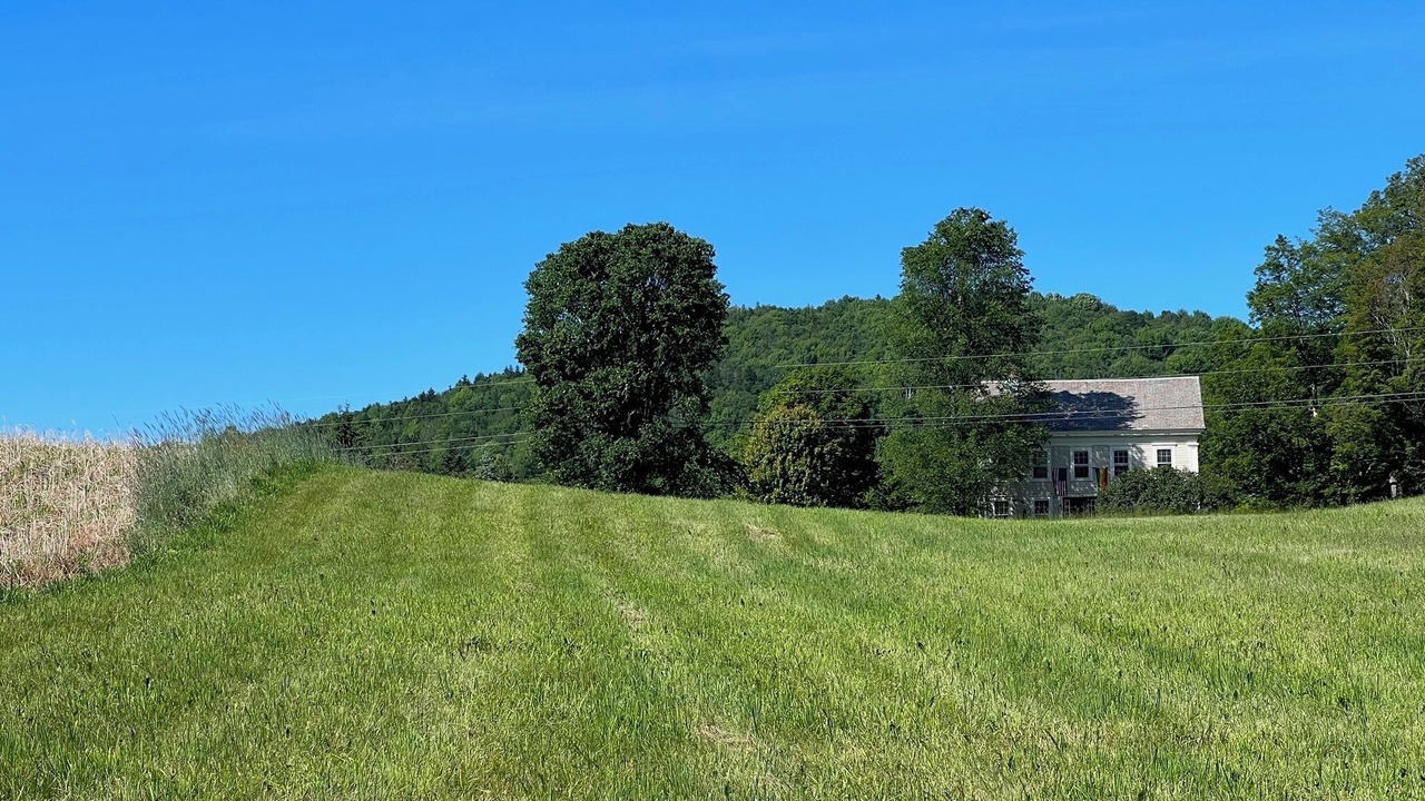 Photo of Outdoor in Belmont