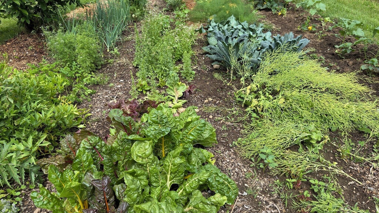 Photo of Outdoor in Belmont