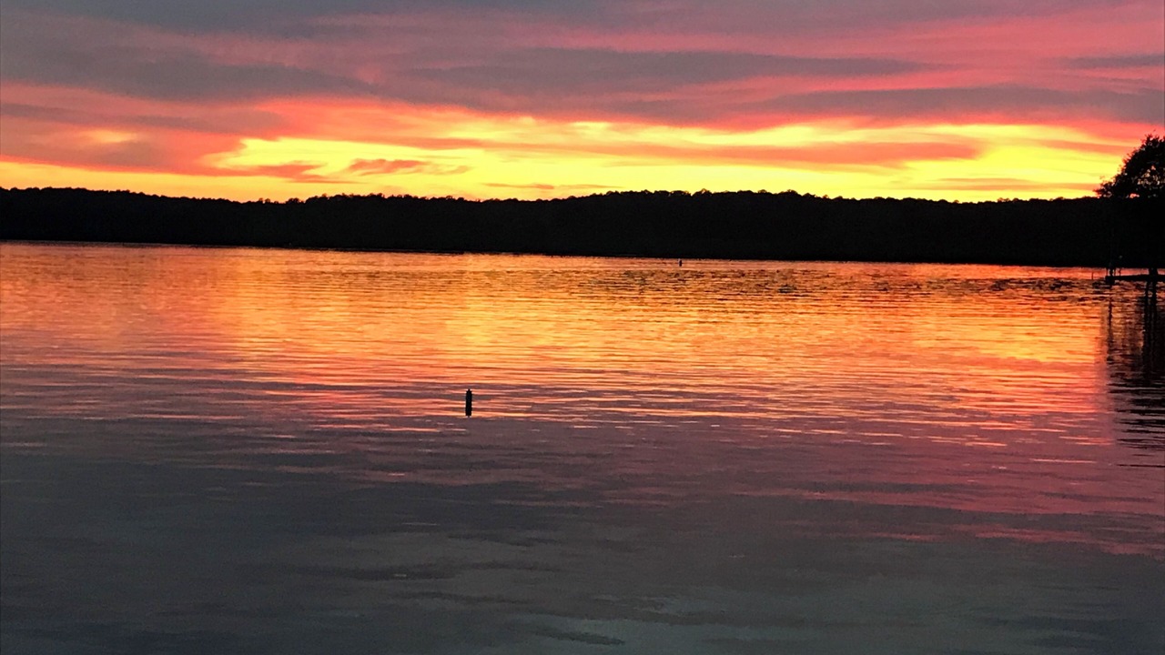 Photo of Others in South Toledo Bend