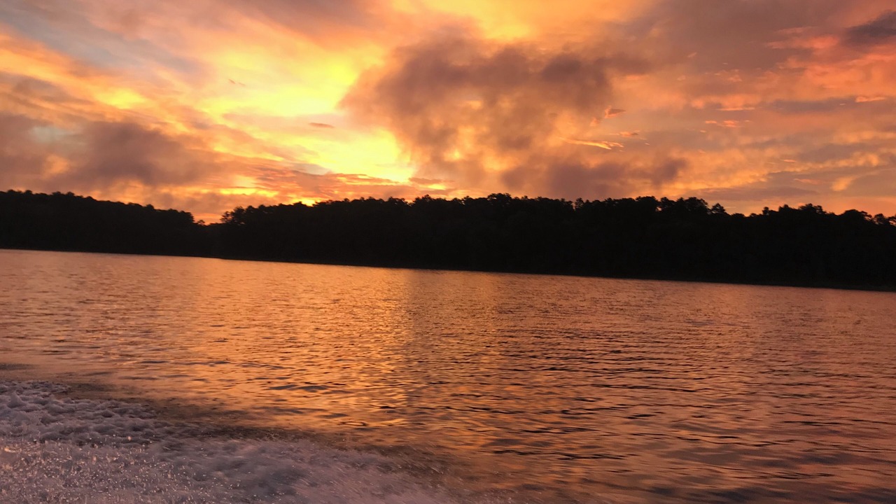 Photo of Others in South Toledo Bend