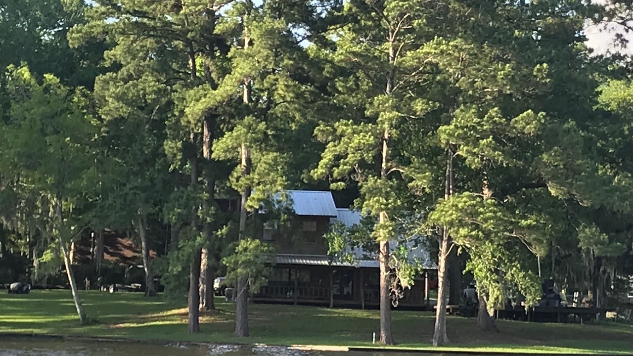 Photo of Outdoor in South Toledo Bend