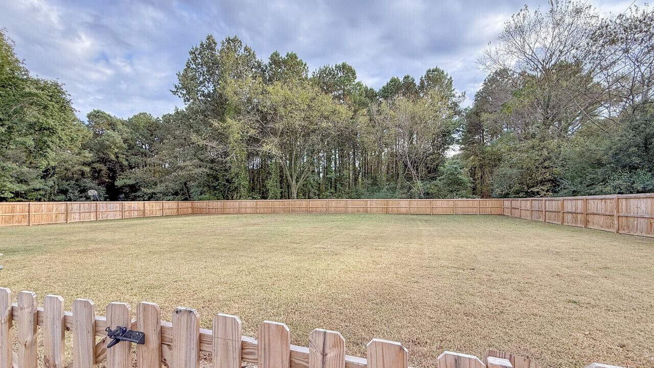 Photo of Outdoor in Raleigh