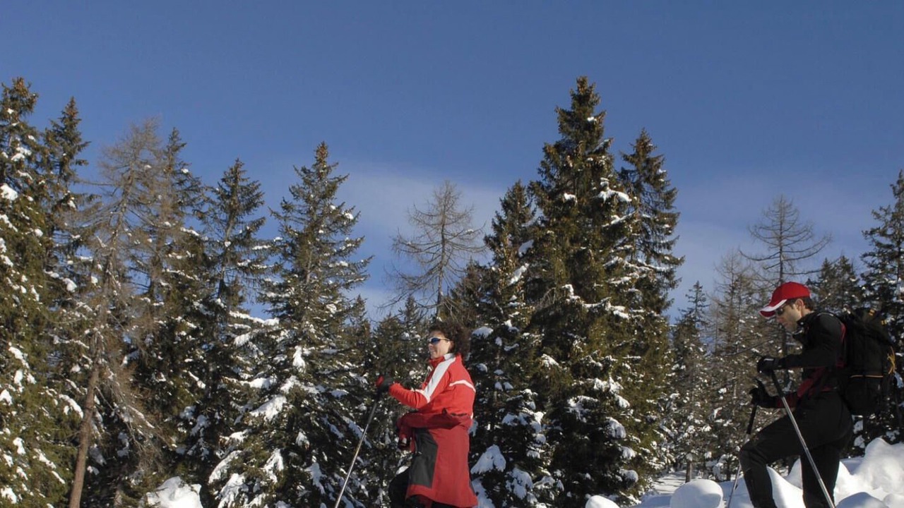 Photo of Others in Ferdrupt