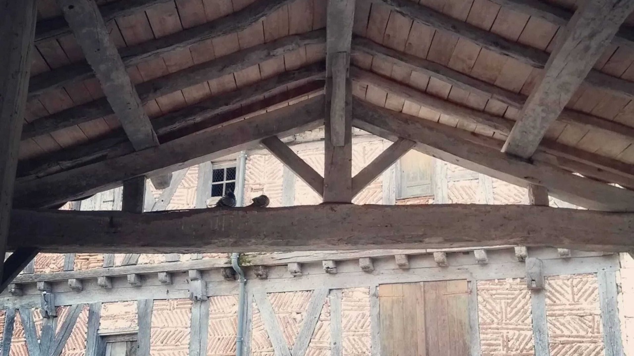 Photo of Outdoor in Saint Maurin
