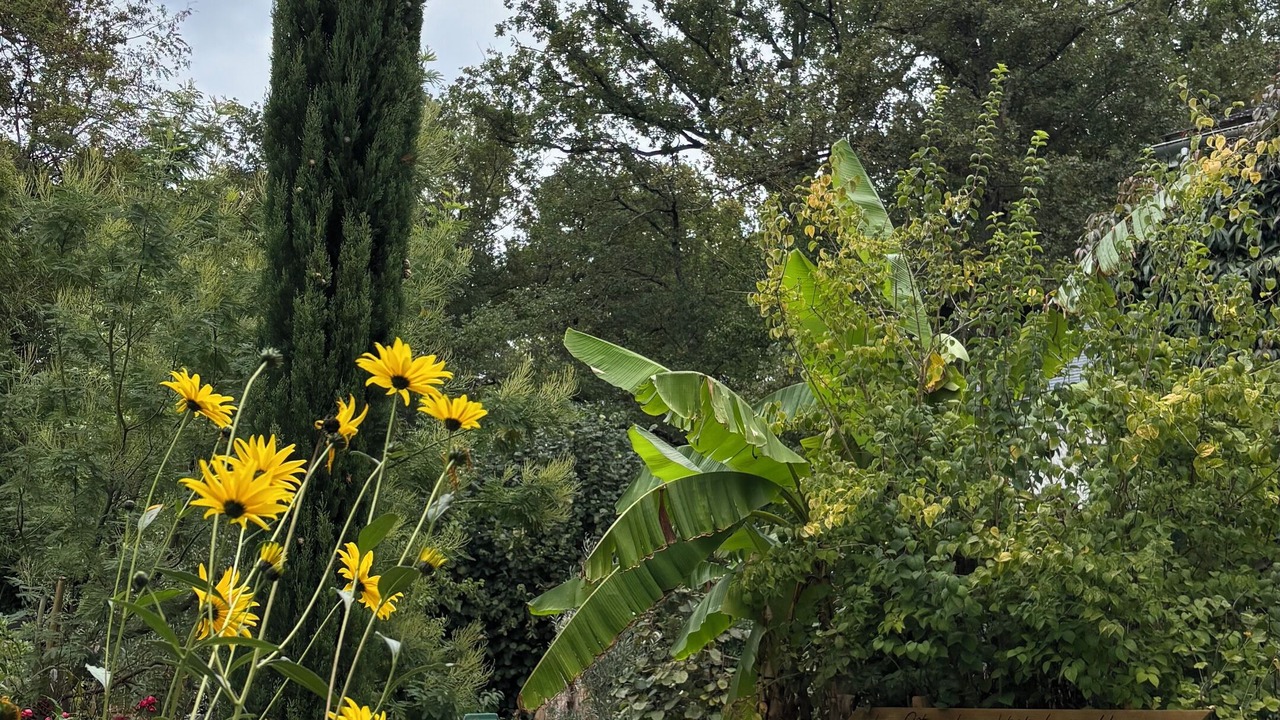 Photo of Outdoor in Montlouis-sur-Loire