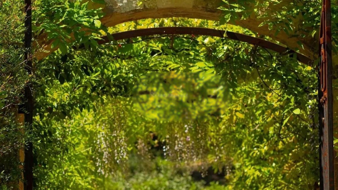 Photo of Outdoor in Le Thoronet