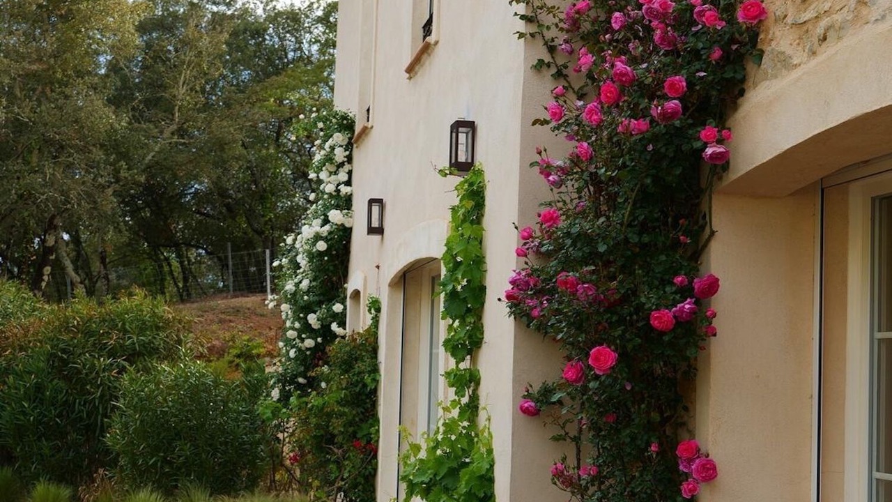 Photo of Outdoor in Le Thoronet