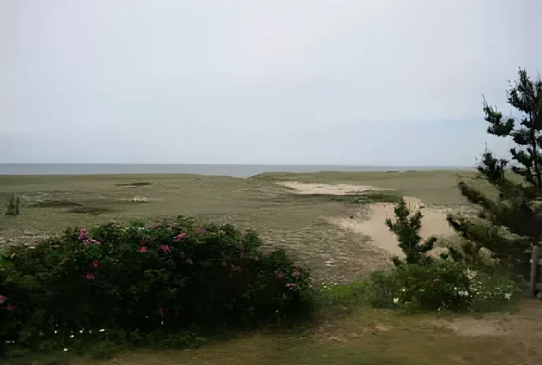 Photo of Others in Surfside