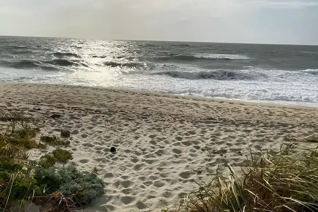 Photo of Others in Surfside
