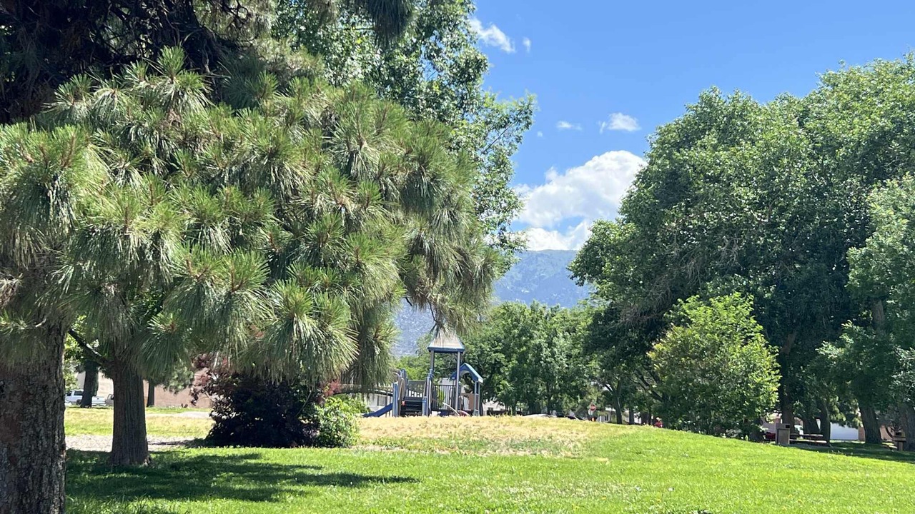 Photo of Others in Northeast Heights