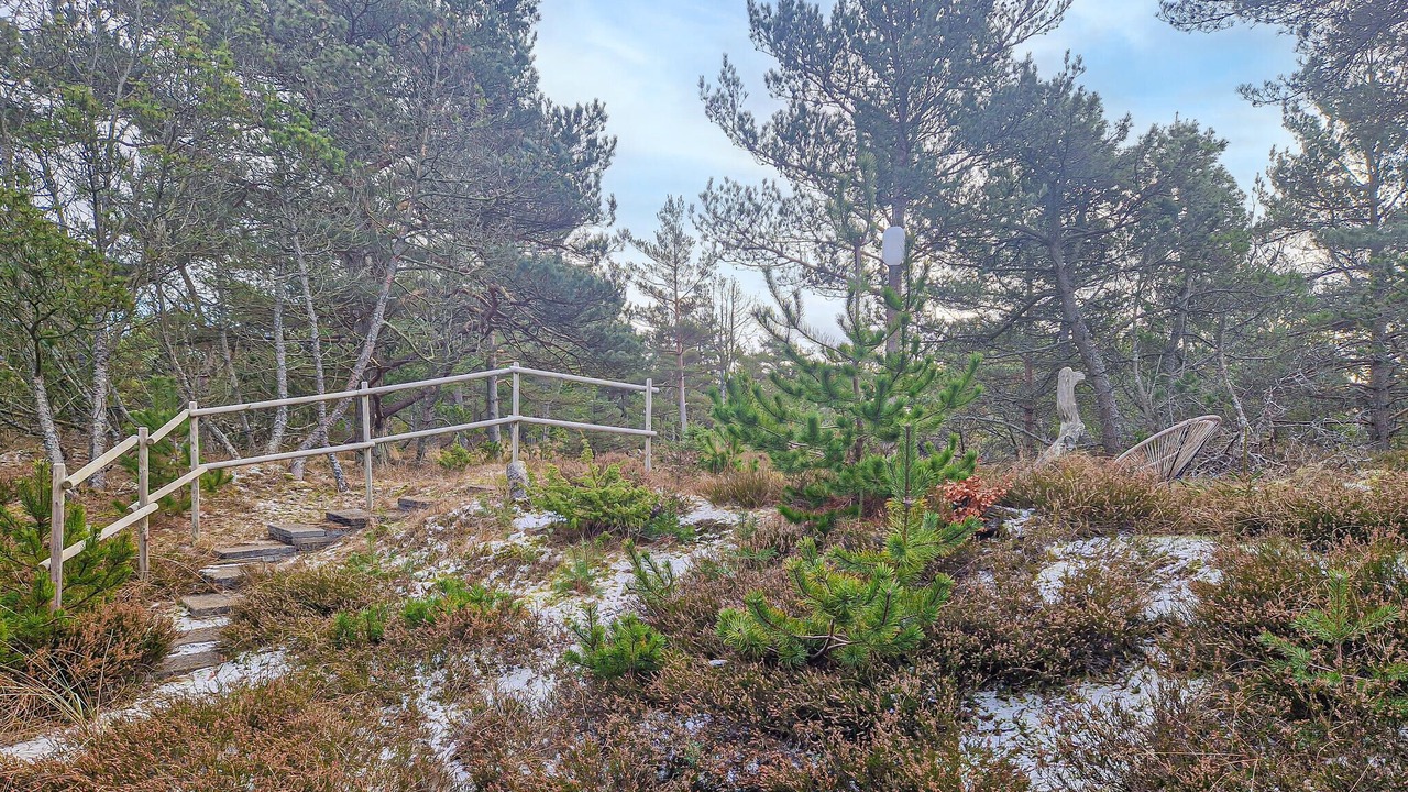 Photo of Others in Skiveren