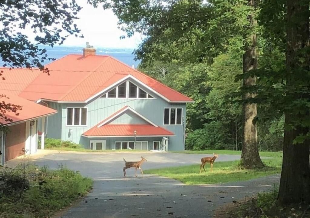 Photo of Outdoor in Town of Chesterfield