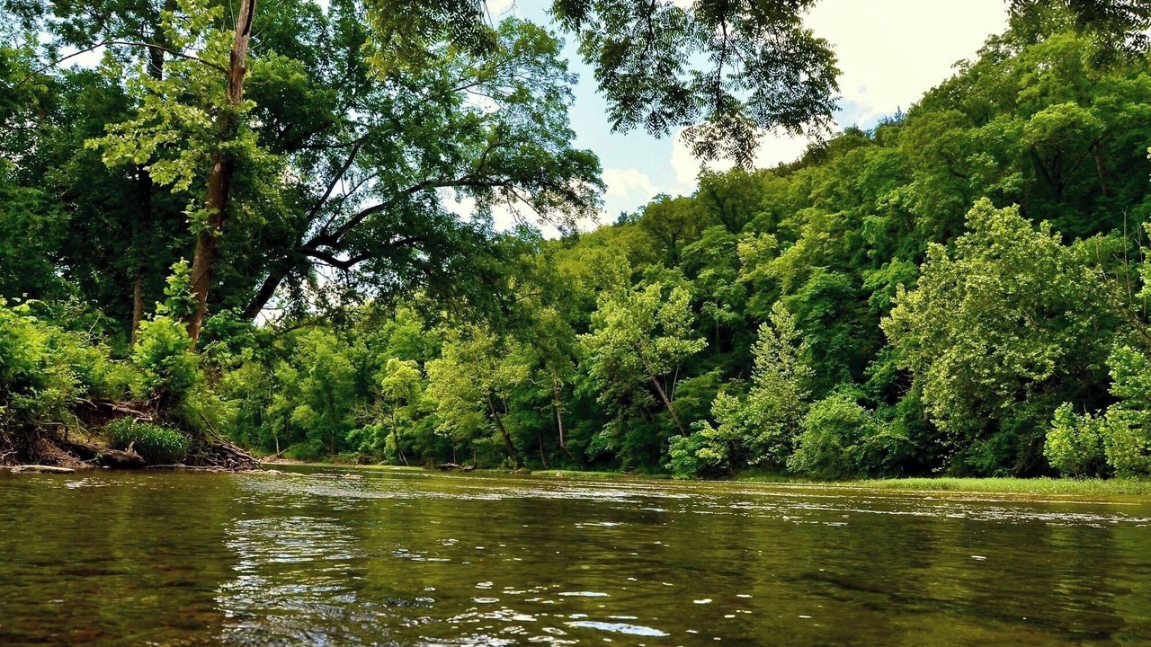 Photo of Others in Bull Creek